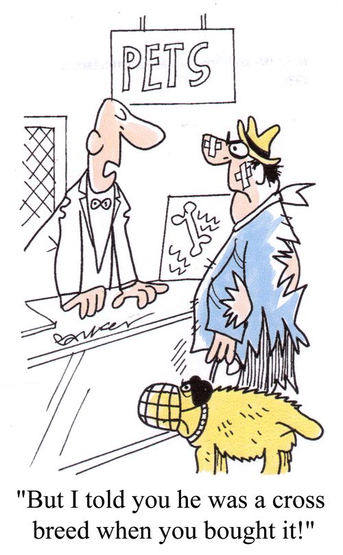 "But I told you he was a cross breed when you bought it!"