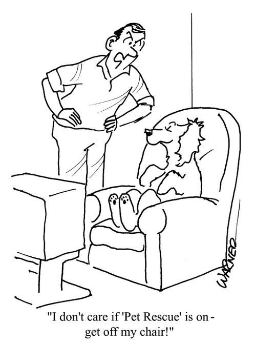 "I don't care if 'Pet Rescue' is on - get off my chair!"