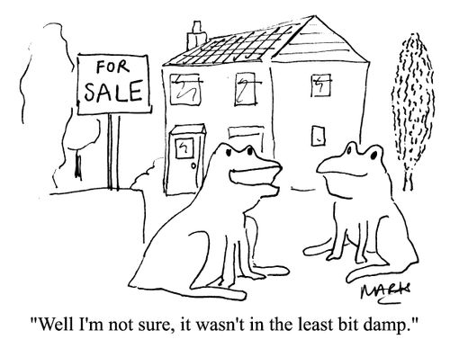 "Well, I'm not sure, it wasn't in the least bit damp"