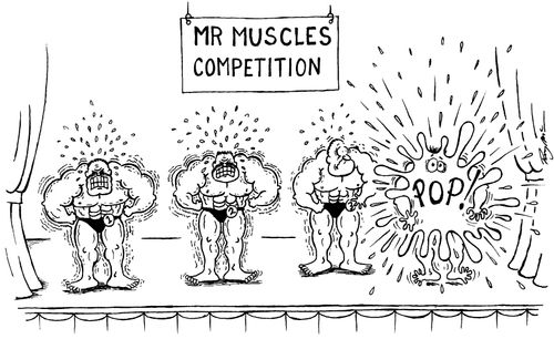 Mr Muscles competition