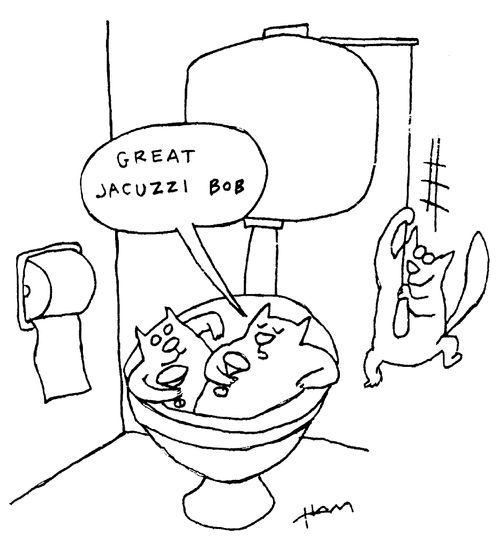 "Great Jacuzzi Bob"
