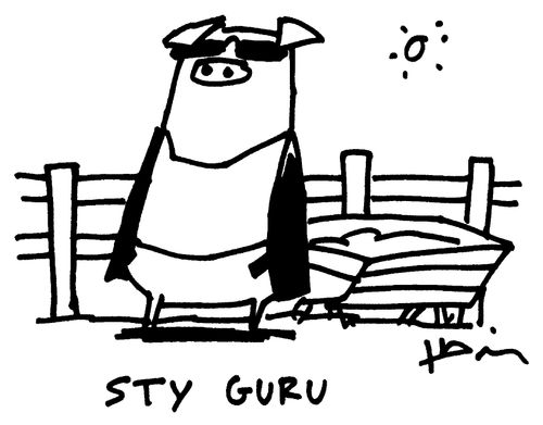 Sty Guru