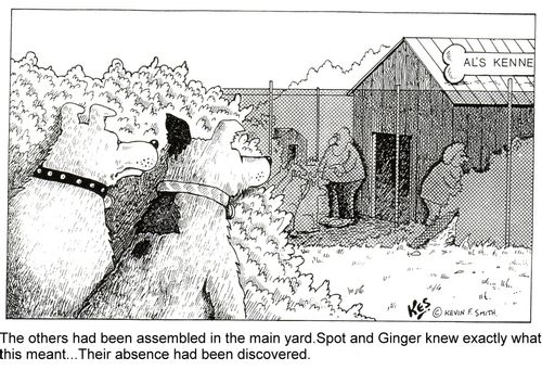 Spot and Ginger know exactly whats going on... Their absence has been discovered.