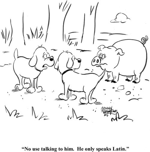 'No use talking to him.  He only speaks Latin.'
