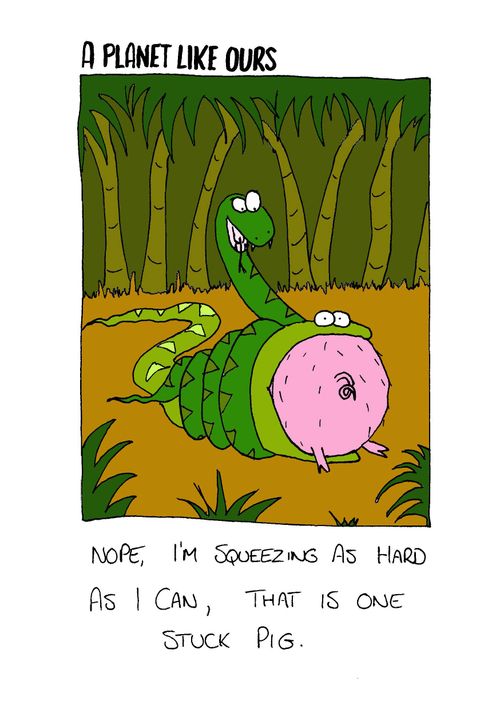"Nope, I'm squeezing as hard as I can, that is one stuck pig."