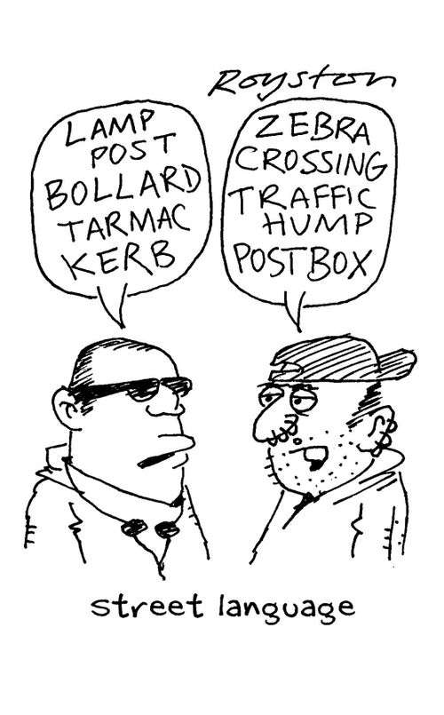 One youth says: 'Lamppost, bollard, tarmac, kerb.' Other says: Zebra crossing,traffic hump, postbox.' Caption: Street language