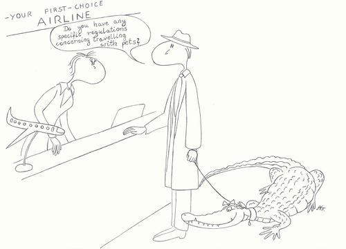 'Do you have any specific regulations concerning travelling with pets?'