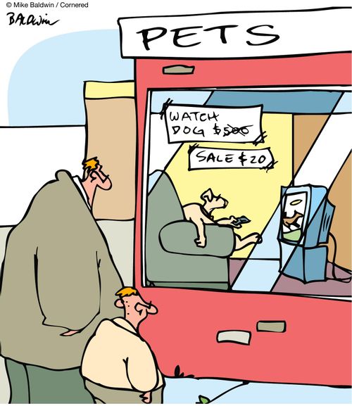 TV Watch(ing) Dog for sale.