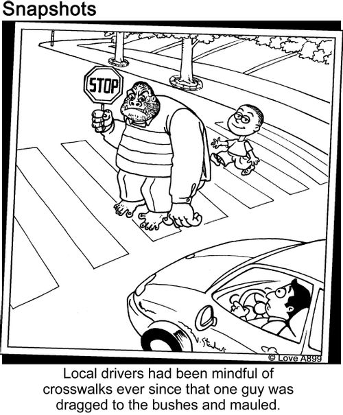 Local drivers had been mindful of crosswalks ever since that one guy was dragged to the bushes and mauled.