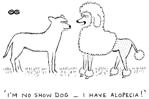 "I'm no show dog - I have Alopecia!"