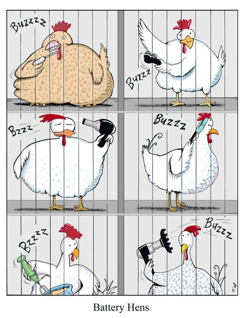 Battery Hens.