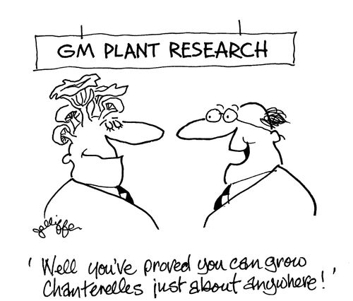 GM Plant Research: 'Well you've proved you can grow Chantrelles just about anywhere!'