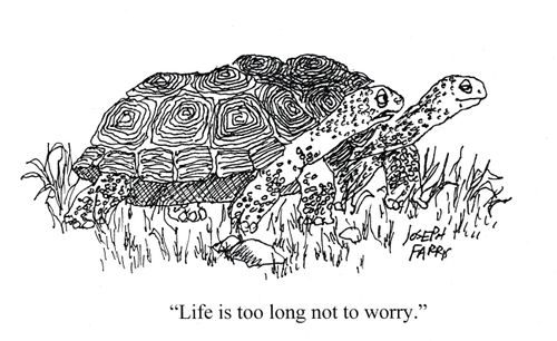 'Life is too long not to worry.'
