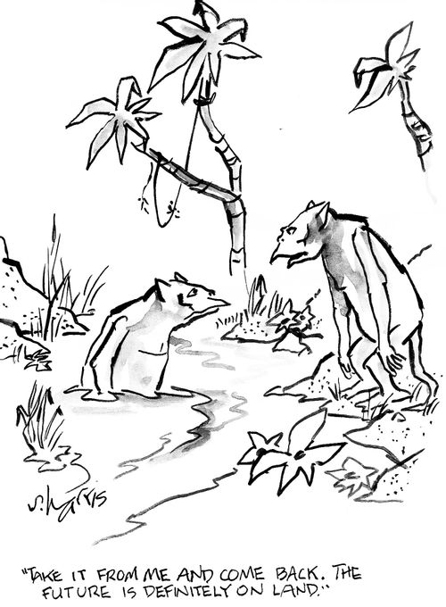 'Take it from me and come back.  The future is definitely on land.'