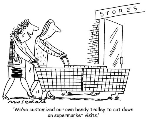 'We've customized our own bendy trolley to cut down on supermarket visits.'