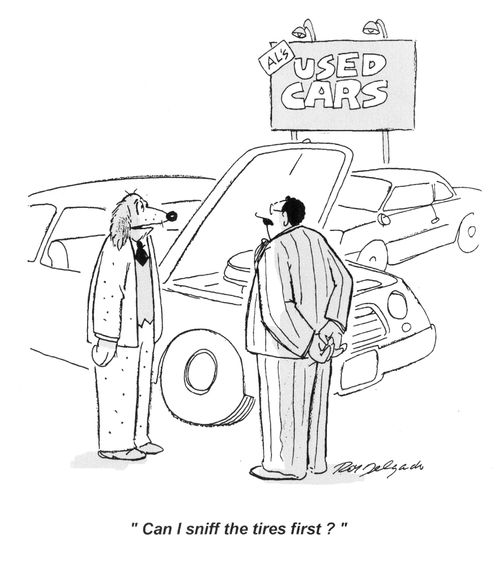 'Can I sniff the tires first?'