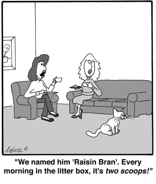 'We named him 'Raisin Bran.' Every morning in the litter box, it's two scoops!'
