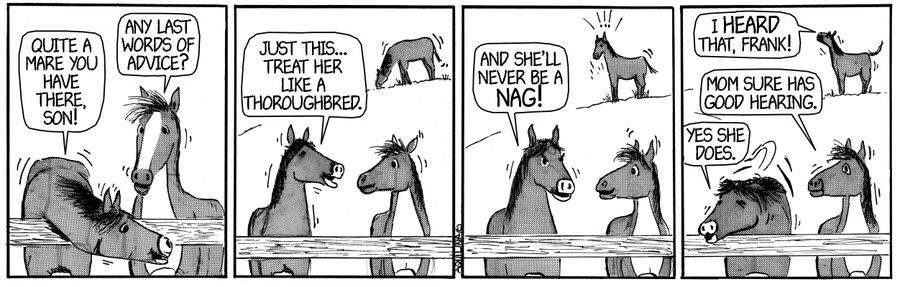 Treat her like a thoroughbread...and she'll never be a nag.