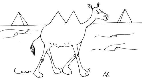 'Camel'