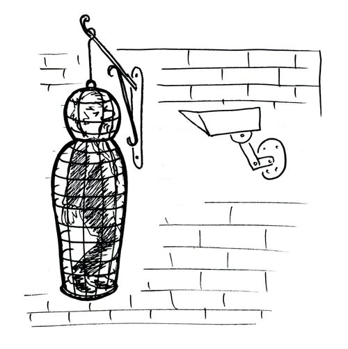 CCTV on torture cage.