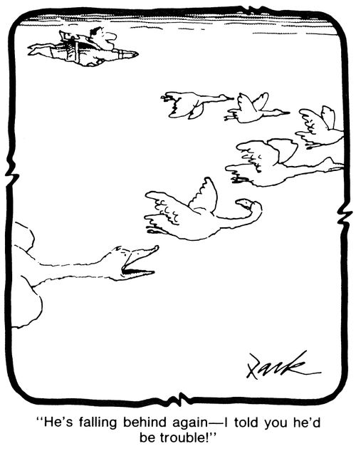 'He's falling behind again - I told you he'd bed trouble!'