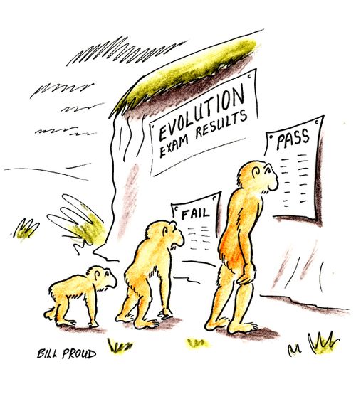 Evolution Exam Results.