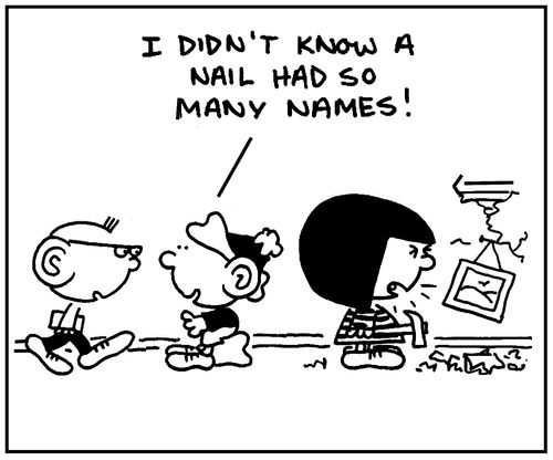 'I didn't know a nail had so many names.'
