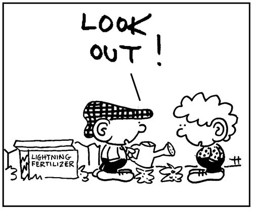 'Look out.'