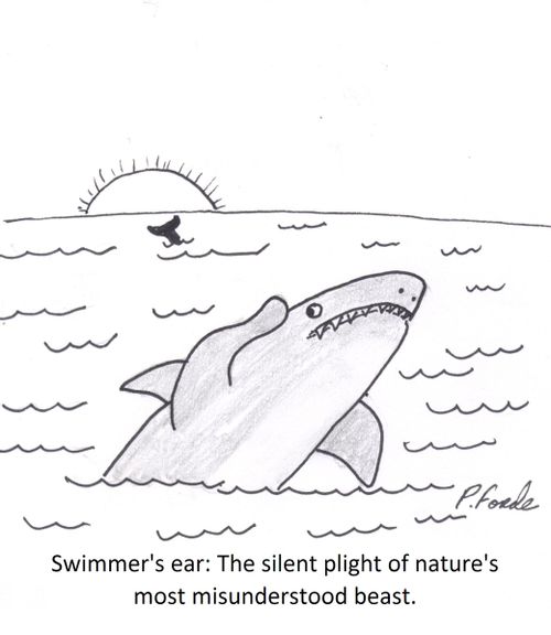 Swimmer's ear: The silent plight of nature's most misunderstood beast.