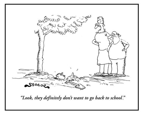 'Look, they definitely don't want to go back to school.'