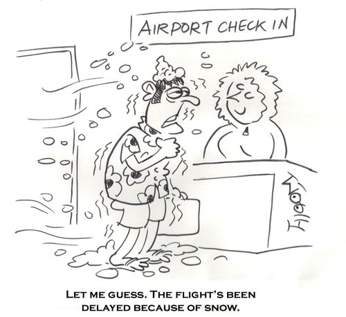 'Let me guess. The flight's been delayed because of snow.'
