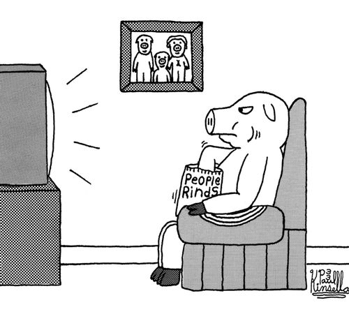 People Rinds (pig eating them while watching TV).