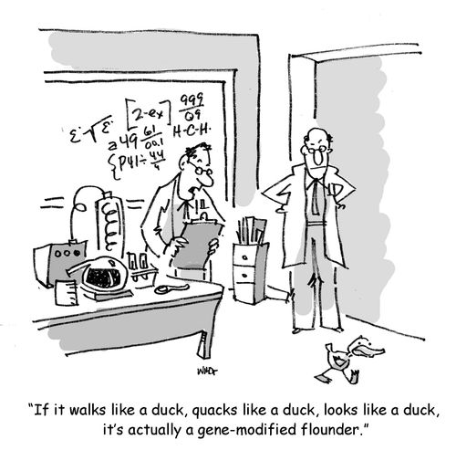 'If it walks like a duck, quacks like a duck, looks like a duck, it' actually a gene-modified flounder.'