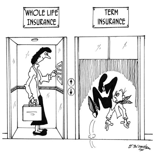 The difference between 'Whole Life Insurance' and 'Term Insurance'.