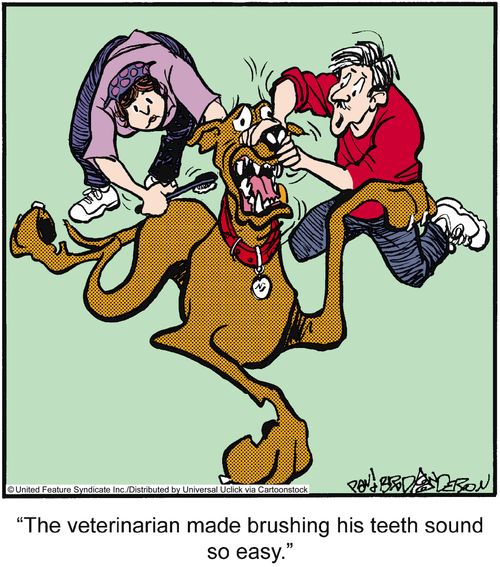 'The veterinarian made brushing his teeth sound so easy.'