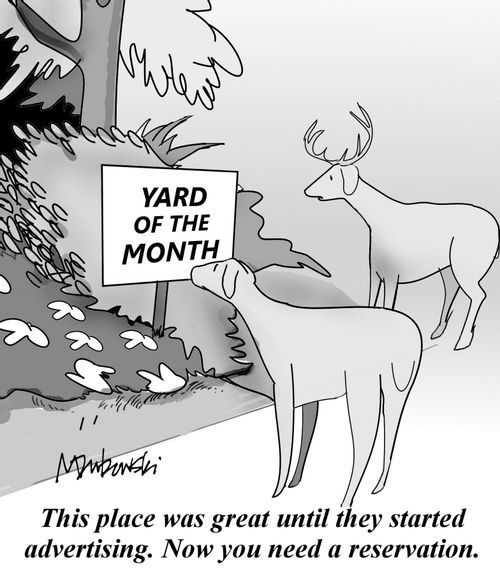 'This place was great until they started advertising. Now you need a reservation.'