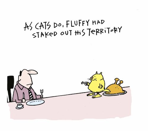 As cats do, Fluffy had staked out his territory.