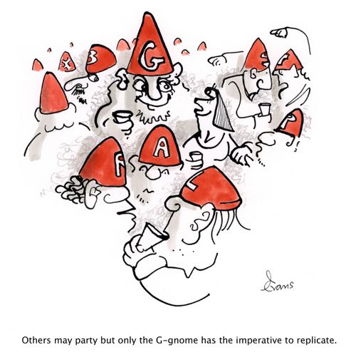 Others may party but only the G-gnome has the imperative to replicate.
