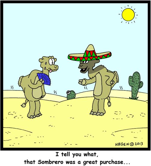 'I tell you what, that Sombrero was a great purchase...'