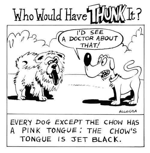 Every dog except the chow has a pink tongue: The chow's tongue is jet black.