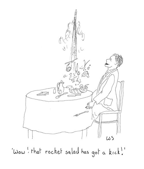 'Wow! That rocket salad has got a kick!'
