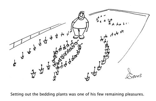 Setting out the bedding plants was one of his few remaining pleasures,