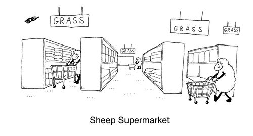 Sheep Supermarket