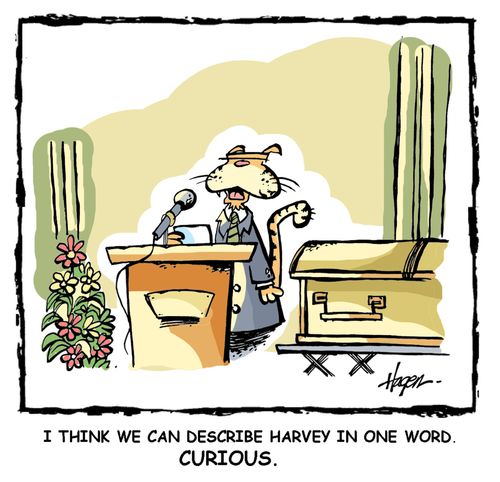 'I think we can describe Harvey in one word. Curious.'