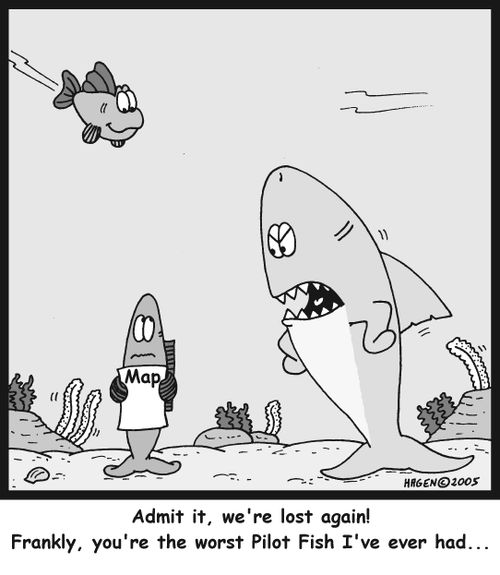 'Admit it, we're lost again! Frankly, you're the worst Pilot Fish I've ever had...'