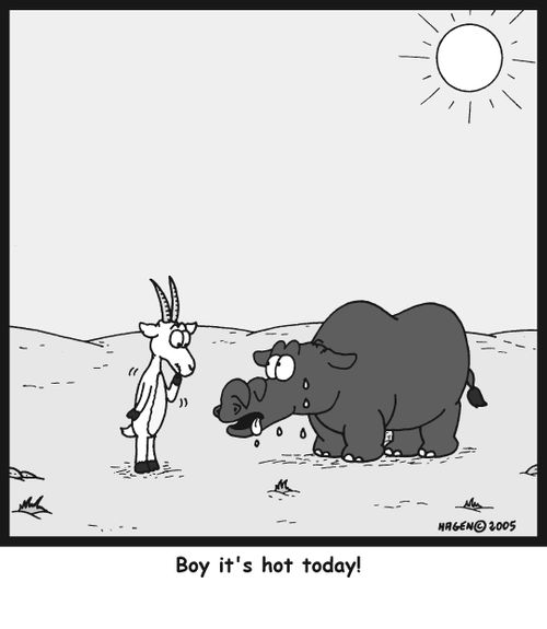 'Boy it's hot today!'