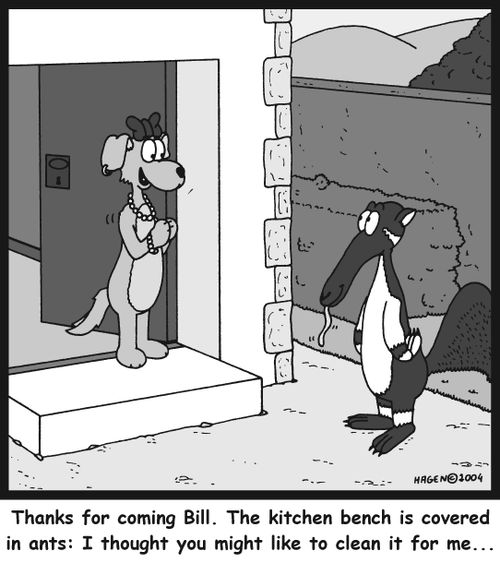 'Thanks for coming Bill. The kitchen bench is covered in ants: I thought you might like to clean it for me...'