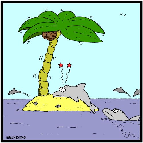 Dolphin hits a palm tree.