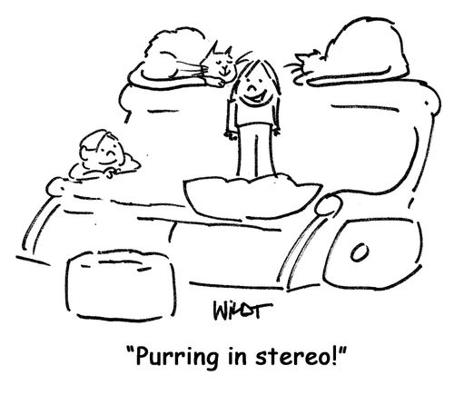 child between cats hears purring in stereo