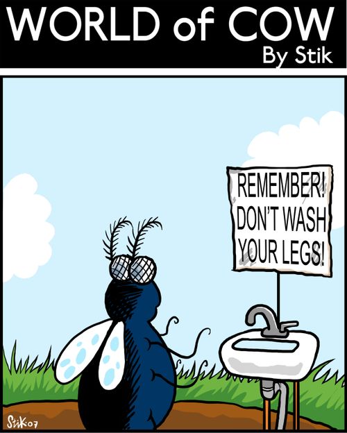 Don't wash your legs!